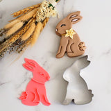 Bunny Sitting (Stamp Set) Emboss 3D Printed Cookie Stamp  + Stainless Steel Cookie Cutter