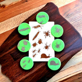 Creepy Crawlies Cookie Stencil