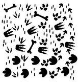 Dinosaur Footprint Cookie Stencil